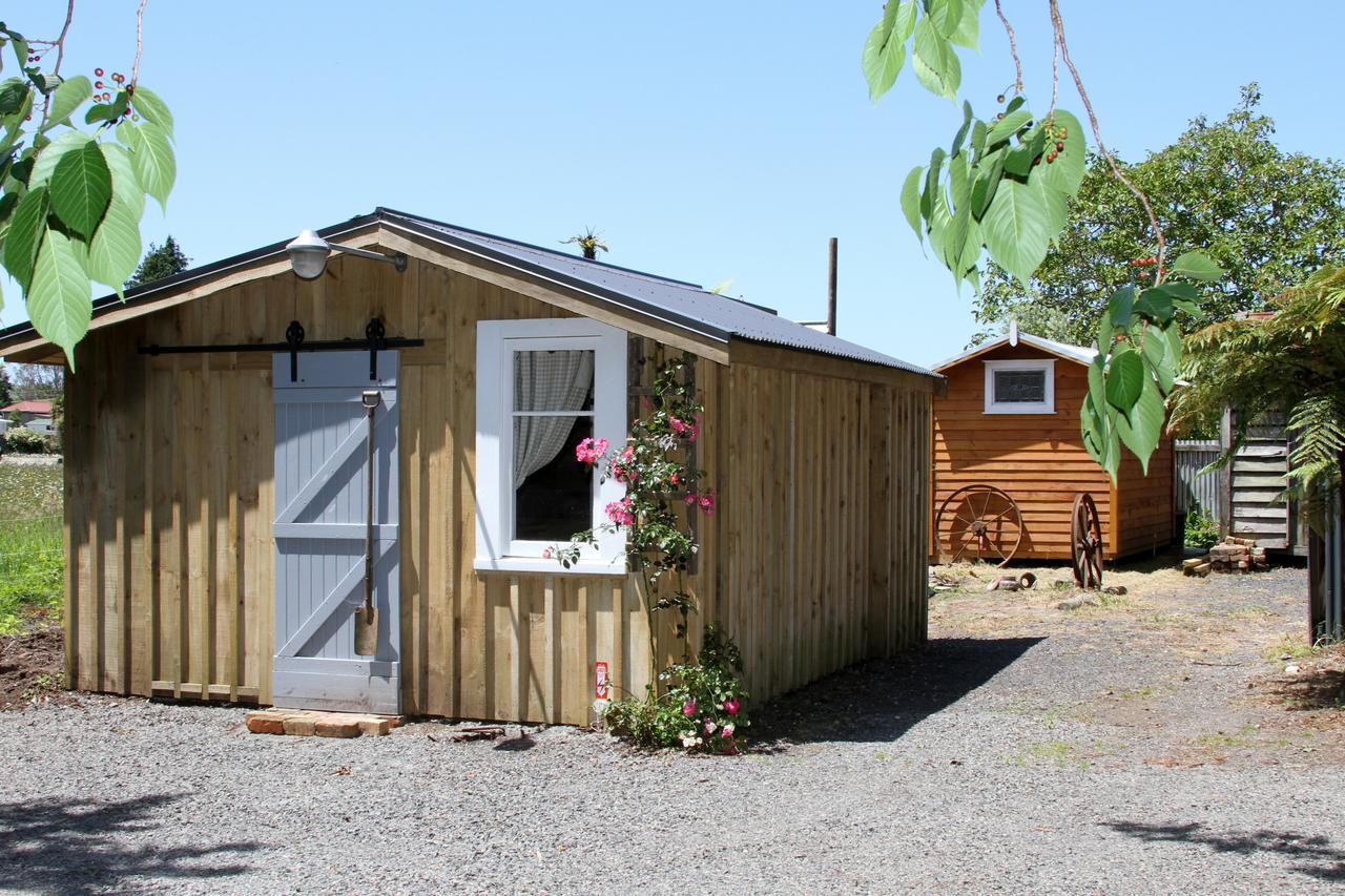 The Log Cabin & Packing Shed Villa Waihi Exteriör bild